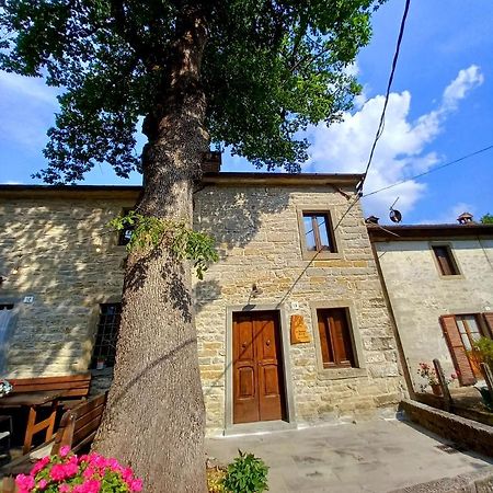 Apartament Casina La Quercia Santa Sofia Zewnętrze zdjęcie