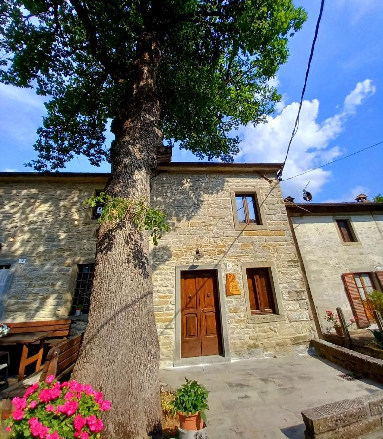 Apartament Casina La Quercia Santa Sofia Zewnętrze zdjęcie