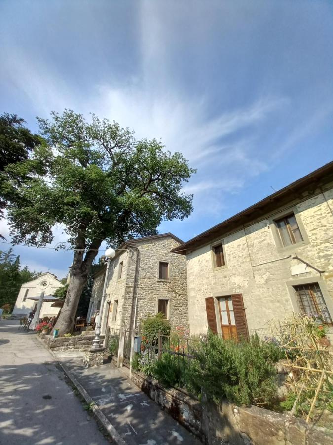 Apartament Casina La Quercia Santa Sofia Zewnętrze zdjęcie