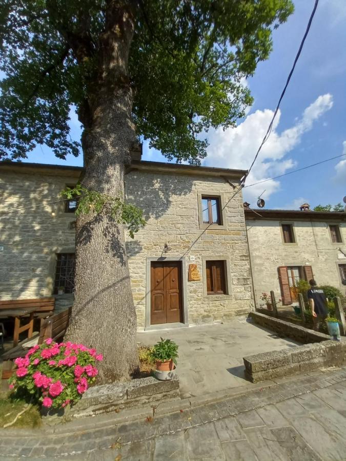 Apartament Casina La Quercia Santa Sofia Zewnętrze zdjęcie