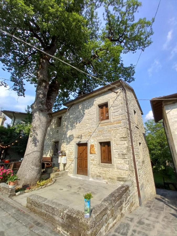 Apartament Casina La Quercia Santa Sofia Zewnętrze zdjęcie