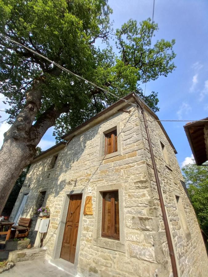 Apartament Casina La Quercia Santa Sofia Zewnętrze zdjęcie